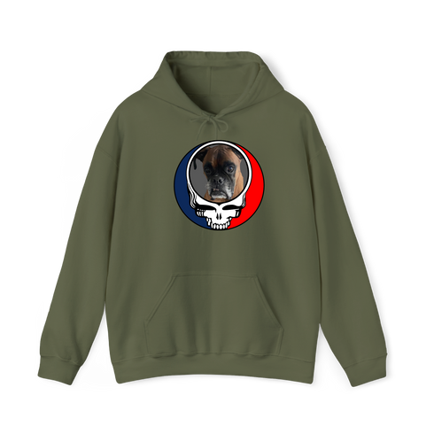 1451 - Custom Stealie Hoodie