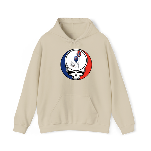 1673 - Custom Stealie Hoodie