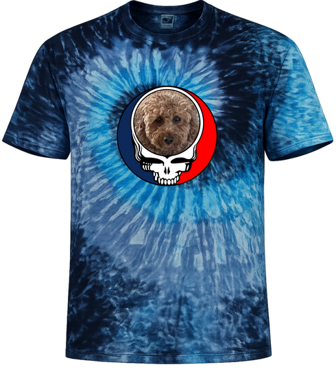 1498 - Custom Stealie Tie-Dye
