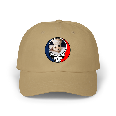 1615 - Custom Stealie Dad Hat