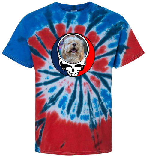 1643 - Custom Stealie Tie-Dye