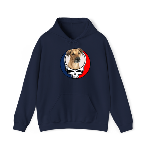 1653 - Custom Stealie Hoodie
