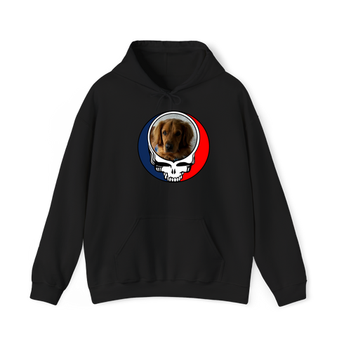 1729 - Custom Stealie Hoodie