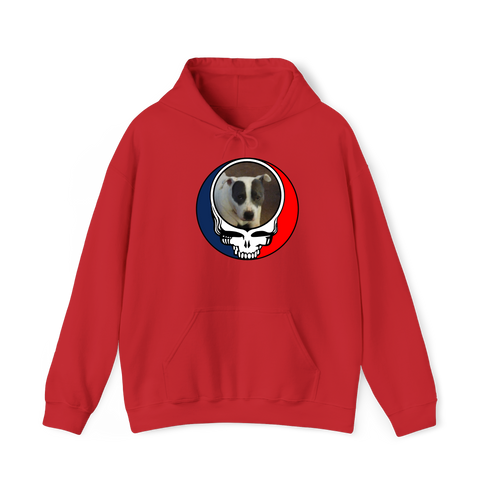 1688 - Custom Stealie Hoodie