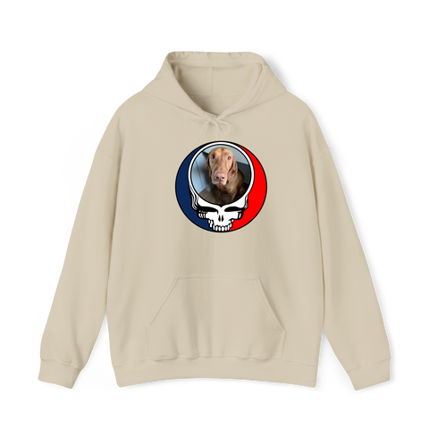 1693 - Custom Stealie Hoodie