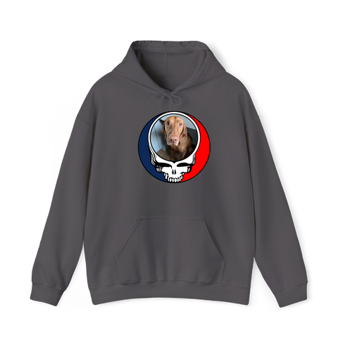 1693 - Custom Stealie Hoodie