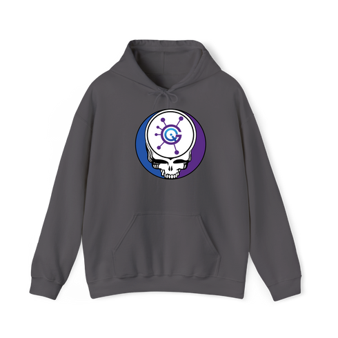 1623 - Custom Stealie Hoodie