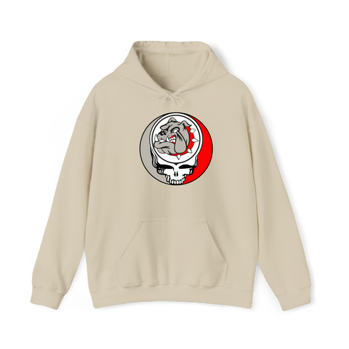 1732 - Custom Stealie Hoodie