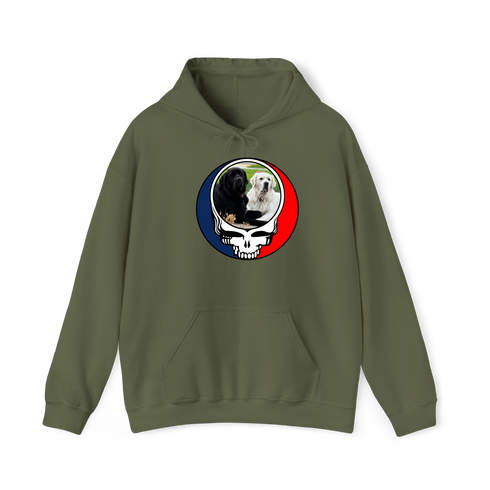 1619 - Custom Stealie Hoodie