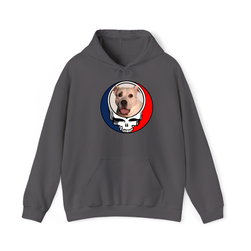 1543 - Custom Stealie Hoodie