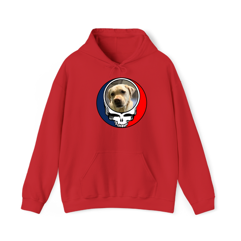 1507 - Custom Stealie Hoodie