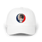 1676 - Custom Stealie Dad Hat
