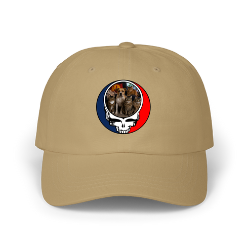 1525 - Custom Stealie Dad Hat