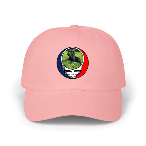 1448 - Custom Stealie Dad Hat