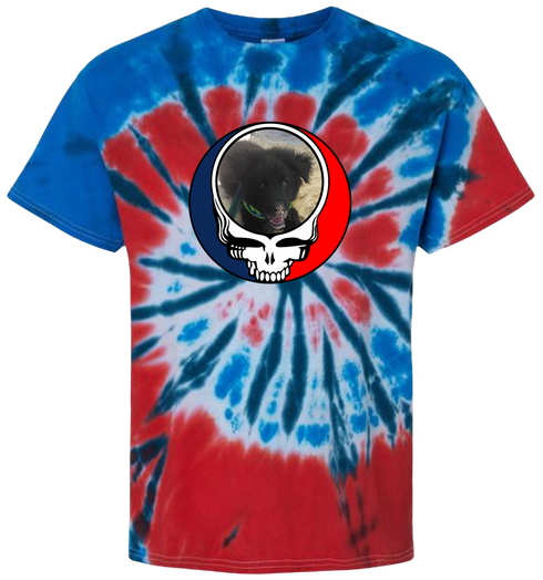 1713 - Custom Stealie Tie-Dye