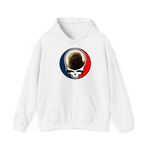 1461 - Custom Stealie Hoodie