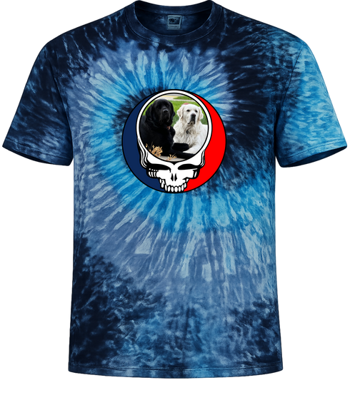 1619 - Custom Stealie Tie-Dye