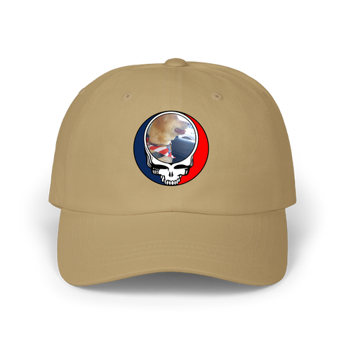 1647 - Custom Stealie Dad Hat