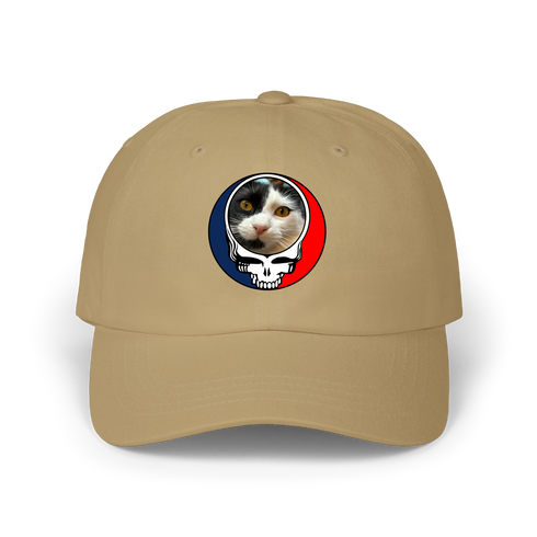 1626 - Custom Stealie Dad Hat