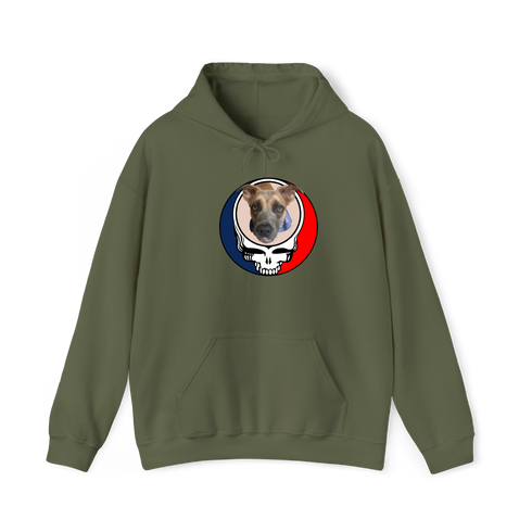 1464 - Custom Stealie Hoodie