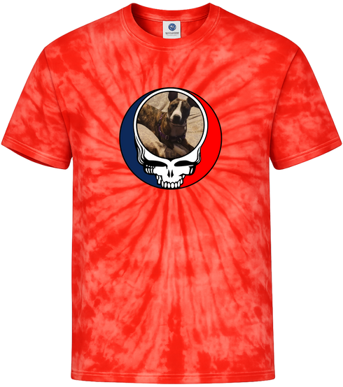 1363 - Custom Stealie Tie-Dye