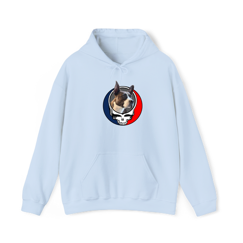 1450 - Custom Stealie Hoodie