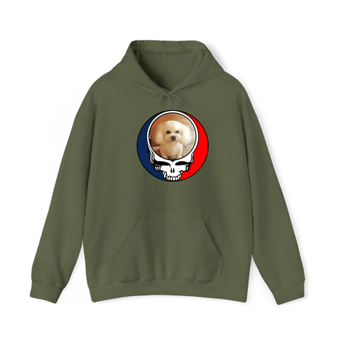 1641 - Custom Stealie Hoodie