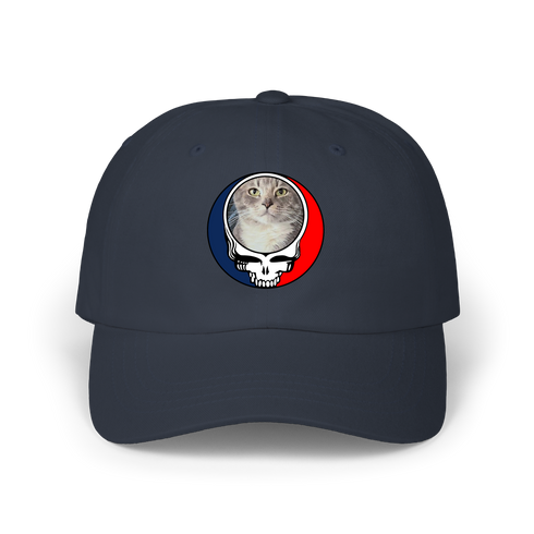 1722 - Custom Stealie Dad Hat