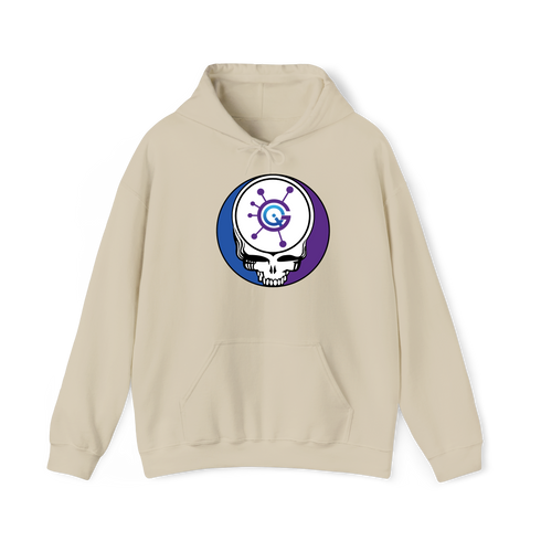 1623 - Custom Stealie Hoodie