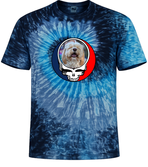 1643 - Custom Stealie Tie-Dye