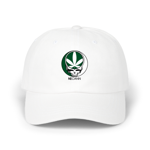1667 - Custom Stealie Dad Hat