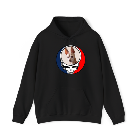1478 - Custom Stealie Hoodie