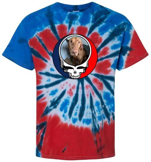 1693 - Custom Stealie Tie-Dye