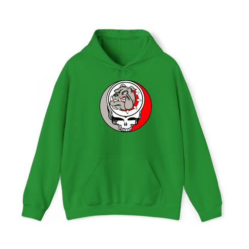 1732 - Custom Stealie Hoodie