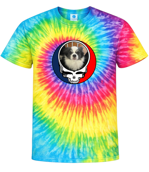 1652 - Custom Stealie Tie-Dye
