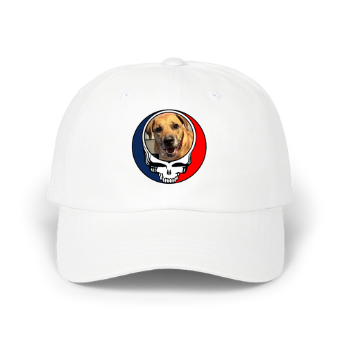 1672 - Custom Stealie Dad Hat