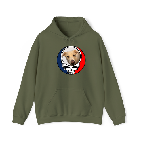 1567 - Custom Stealie Hoodie