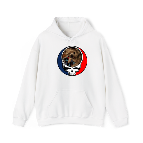 1349 - Custom Stealie Hoodie