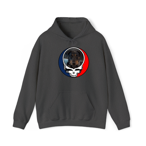 1631 - Custom Stealie Hoodie
