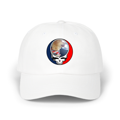 1647 - Custom Stealie Dad Hat