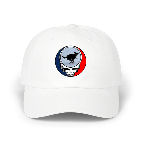 1628 - Custom Stealie Dad Hat