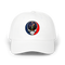 1618 - Custom Stealie Dad Hat