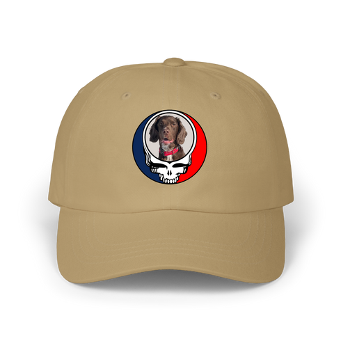 1514 - Custom Stealie Dad Hat